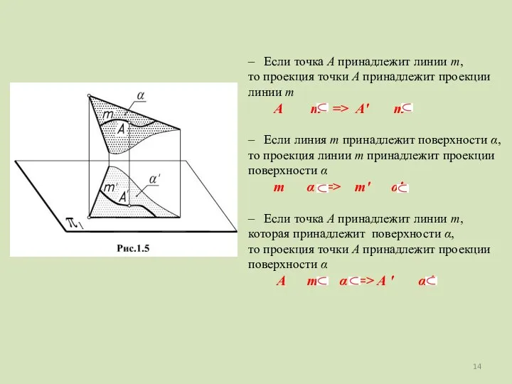 – Если точка A принадлежит линии m, то проекция точки A