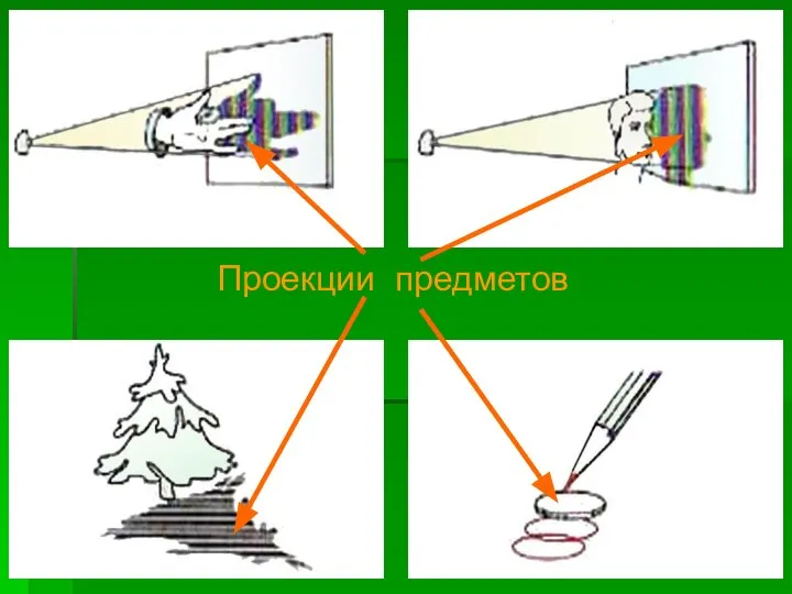 Проекции предметов