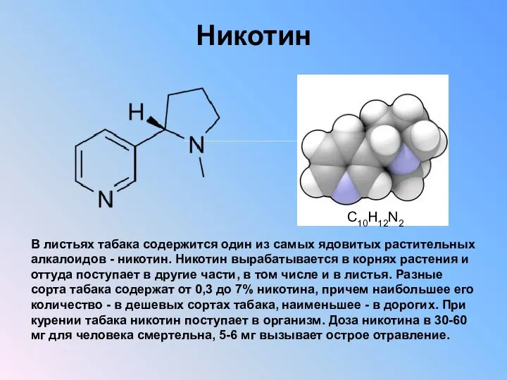 Никотин В листьях табака содержится один из самых ядовитых растительных алкалоидов