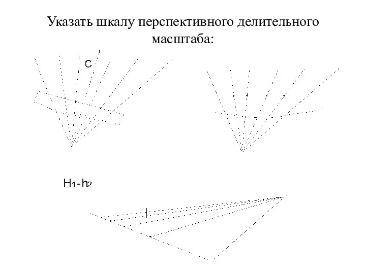 Указать шкалу перспективного делительного масштаба: