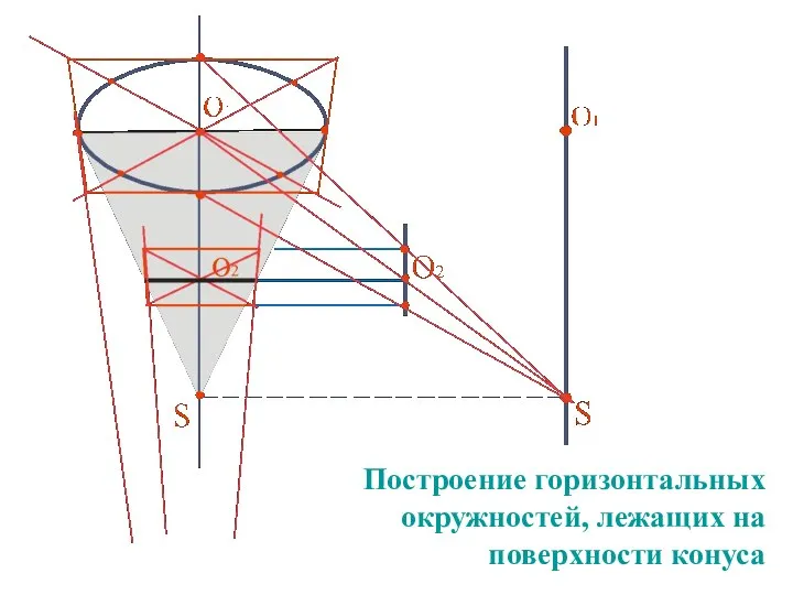 Построение горизонтальных окружностей, лежащих на поверхности конуса