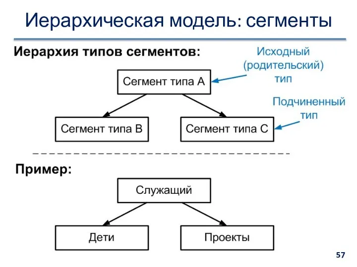 Иерархическая модель: сегменты