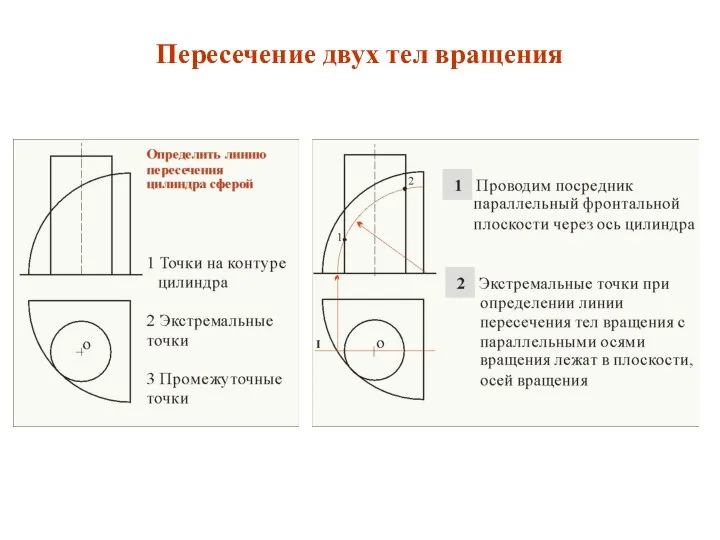 Пересечение двух тел вращения