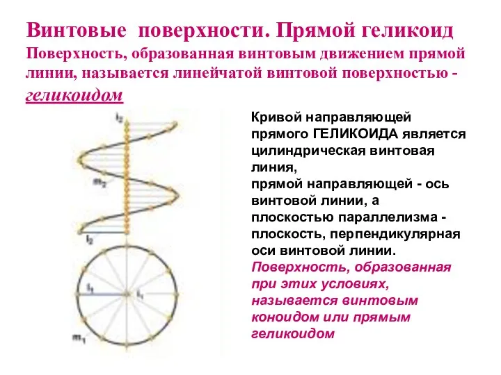 Кривой направляющей прямого ГЕЛИКОИДА является цилиндрическая винтовая линия, прямой направляющей -