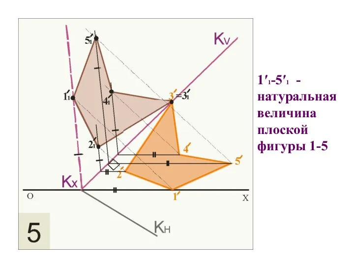 1′1-5′1 - натуральная величина плоской фигуры 1-5