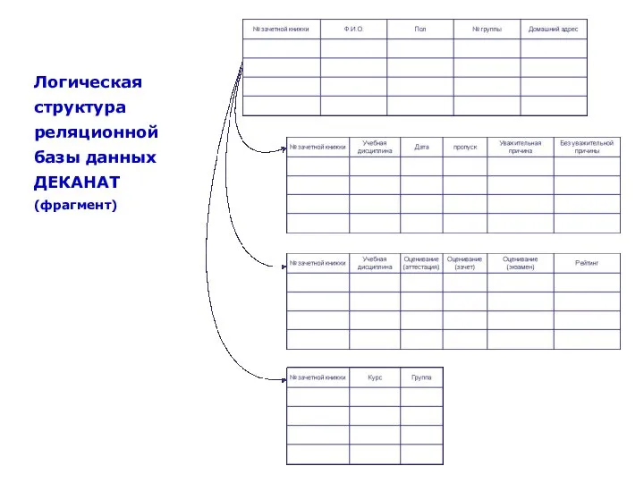 Логическая структура реляционной базы данных ДЕКАНАТ (фрагмент)