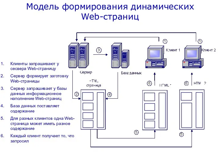 Модель формирования динамических Web-страниц Клиенты запрашивают у сесвера Web-страницу Сервер формирует