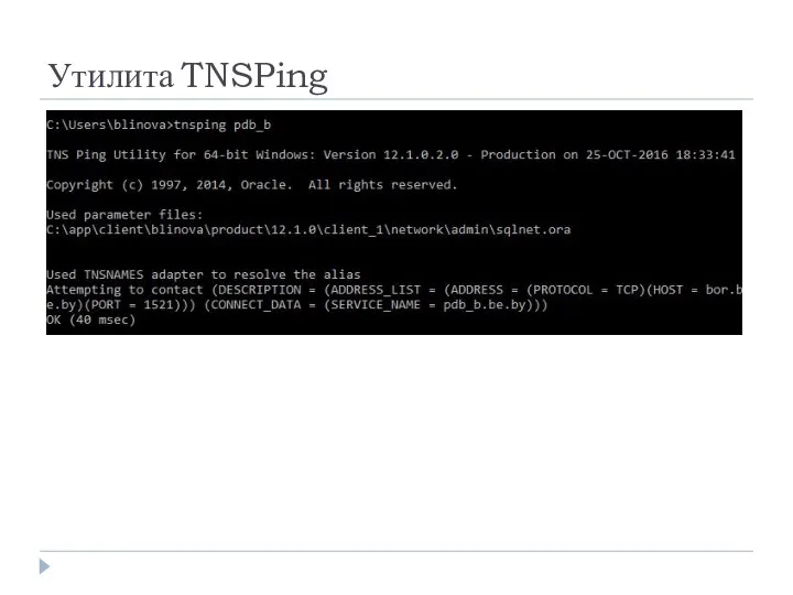 Утилита TNSPing
