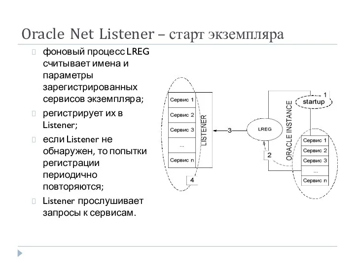 Oracle Net Listener – старт экземпляра фоновый процесс LREG считывает имена