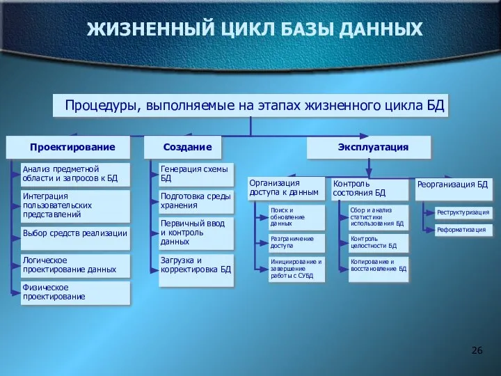 Контроль состояния БД ЖИЗНЕННЫЙ ЦИКЛ БАЗЫ ДАННЫХ Процедуры, выполняемые на этапах