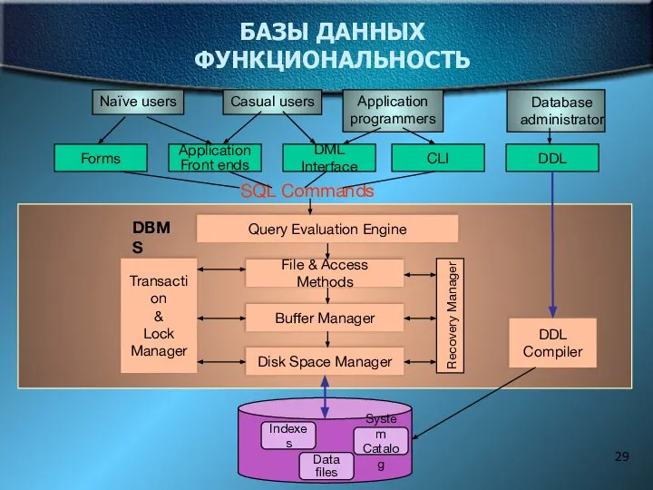 БАЗЫ ДАННЫХ ФУНКЦИОНАЛЬНОСТЬ Naïve users Application programmers Casual users Database administrator