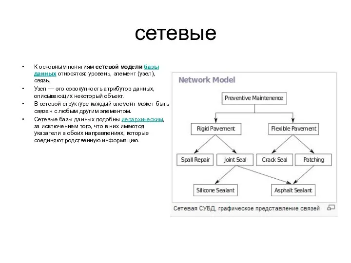 сетевые К основным понятиям сетевой модели базы данных относятся: уровень, элемент