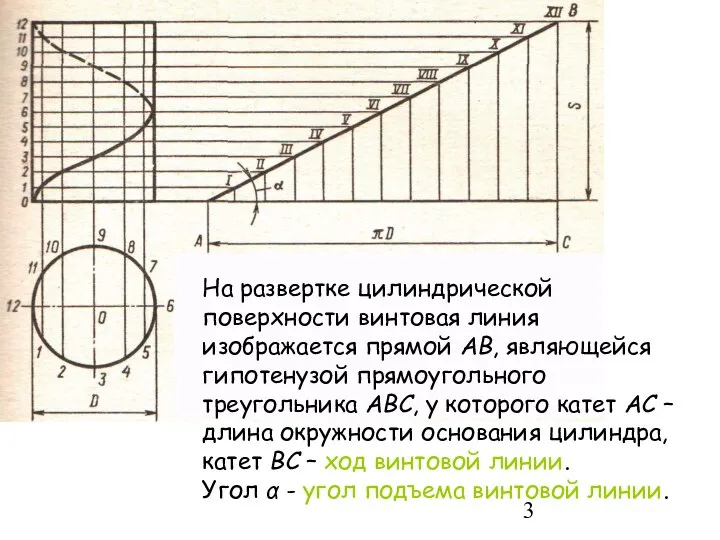 На развертке цилиндрической поверхности винтовая линия изображается прямой АВ, являющейся гипотенузой