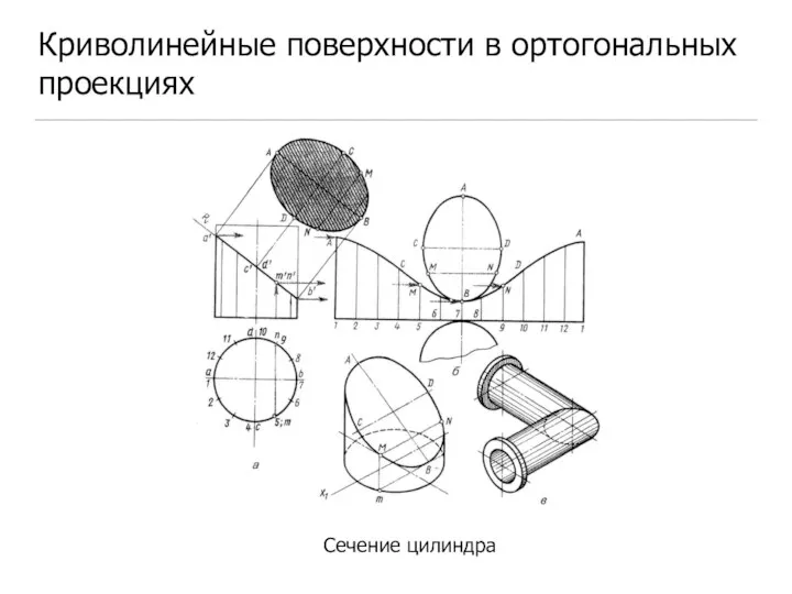 Криволинейные поверхности в ортогональных проекциях Сечение цилиндра