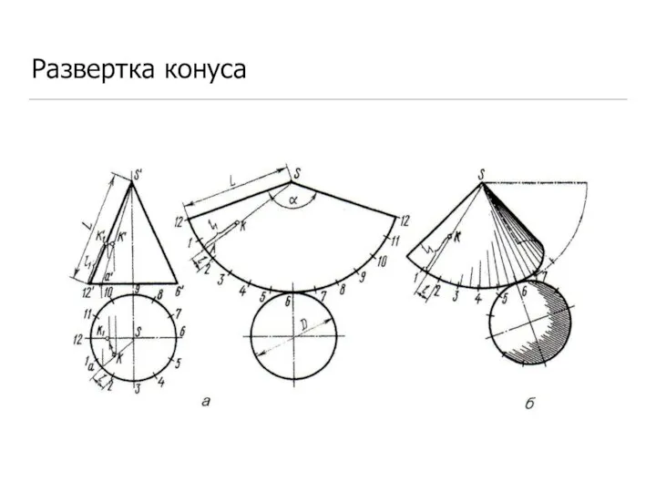 Развертка конуса