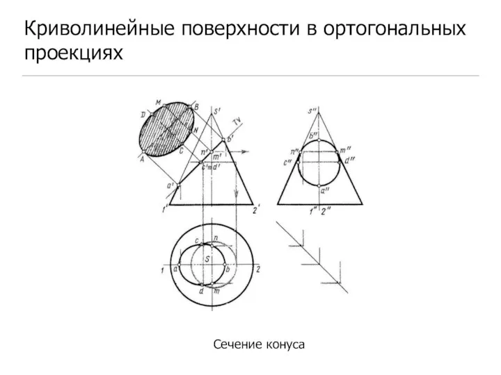 Криволинейные поверхности в ортогональных проекциях Сечение конуса