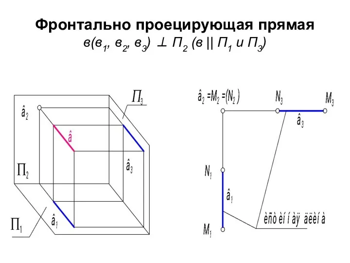 Фронтально проецирующая прямая в(в1, в2, в3) ⊥ П2 (в || П1 и П3)