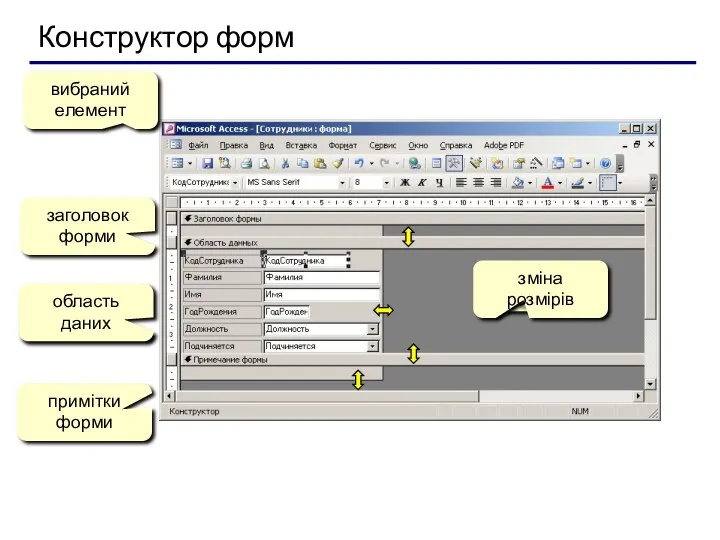 Конструктор форм вибраний елемент заголовок форми область даних примітки форми