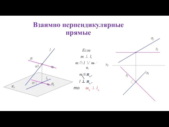 Взаимно перпендикулярные прямые Если m ⊥ l, m ∩ l ∨