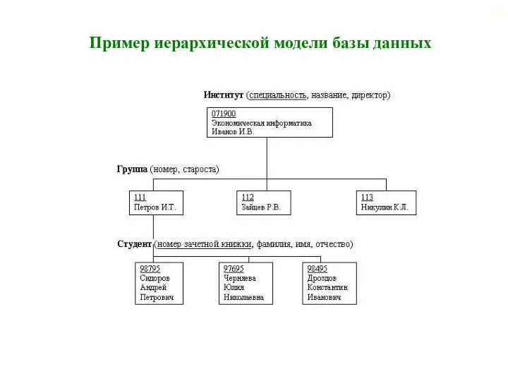 Пример иерархической модели базы данных