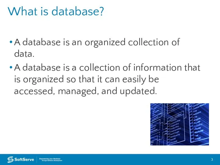 A database is an organized collection of data. A database is