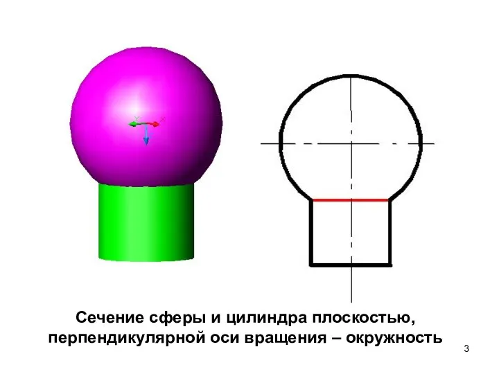 Сечение сферы и цилиндра плоскостью, перпендикулярной оси вращения – окружность