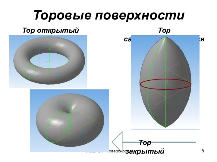 Торовые поверхности Тор открытый Лекция 4. Поверхности Тор самопересекающийся