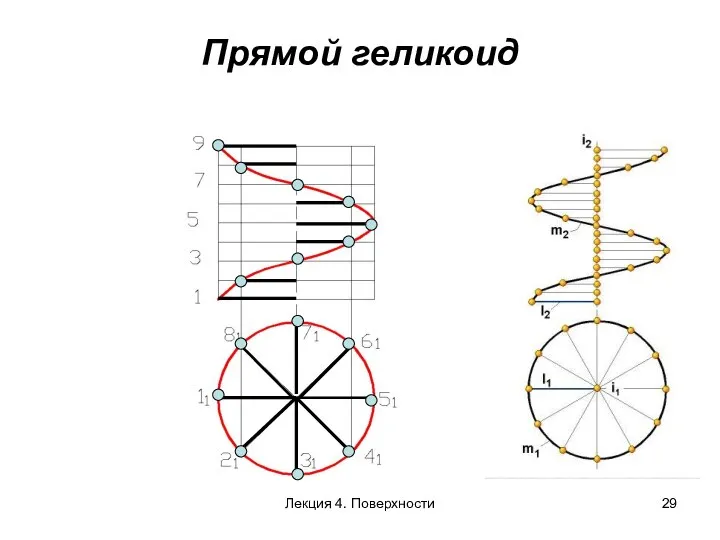 Прямой геликоид Лекция 4. Поверхности