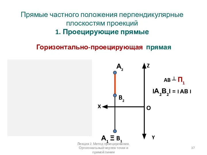 Прямые частного положения перпендикулярные плоскостям проекций 1. Проецирующие прямые Горизонтально-проецирующая прямая