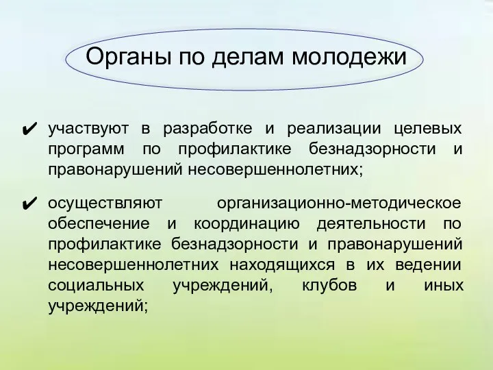 Органы по делам молодежи участвуют в разработке и реализации целевых программ