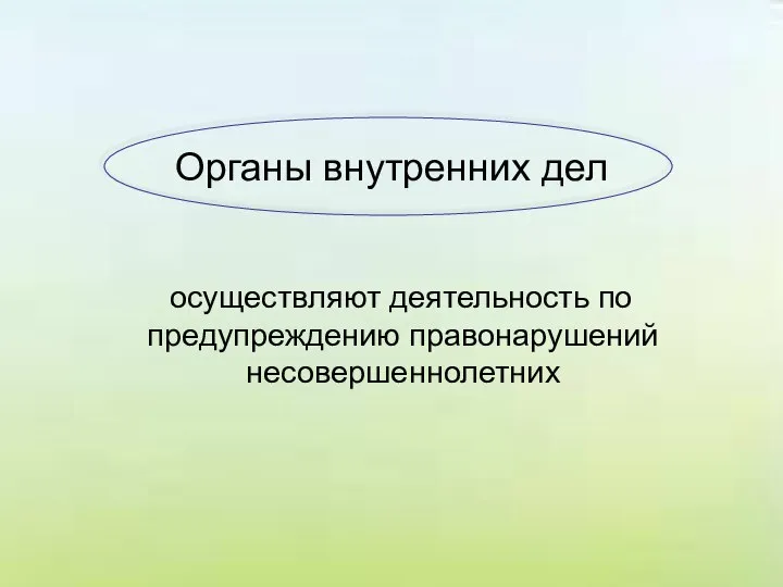 Органы внутренних дел осуществляют деятельность по предупреждению правонарушений несовершеннолетних