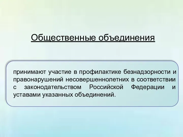 Общественные объединения принимают участие в профилактике безнадзорности и правонарушений несовершеннолетних в