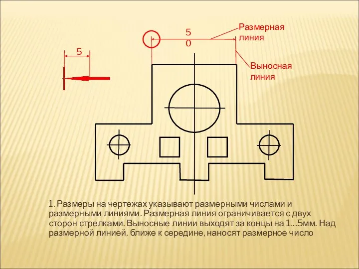 1. Размеры на чертежах указывают размерными числами и размерными линиями. Размерная