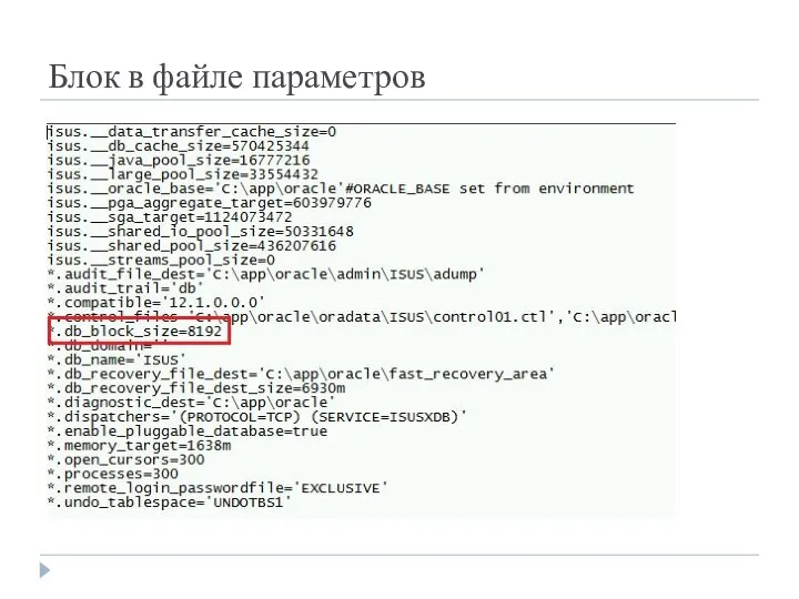 Блок в файле параметров