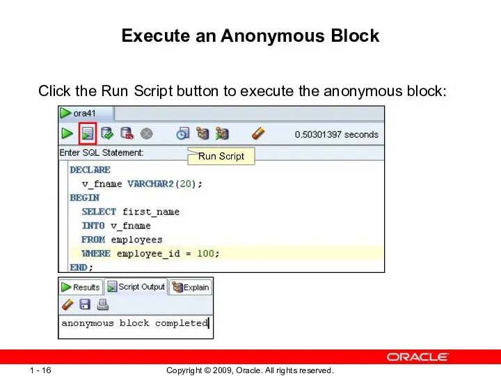 Execute an Anonymous Block Click the Run Script button to execute the anonymous block: Run Script