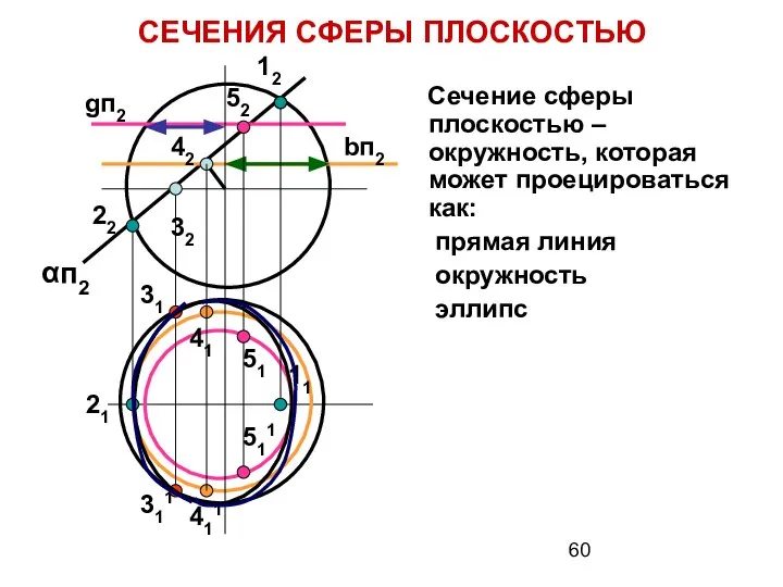 Сечение сферы плоскостью – окружность, которая может проецироваться как: прямая линия