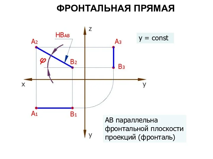 ФРОНТАЛЬНАЯ ПРЯМАЯ АВ параллельна фронтальной плоскости проекций (фронталь) y = const