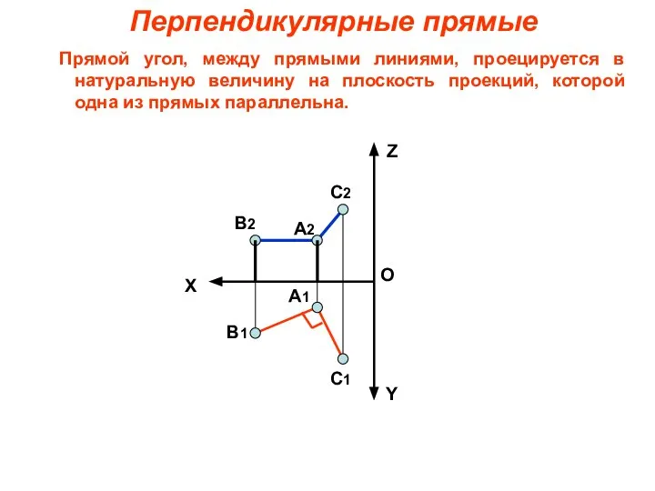 Перпендикулярные прямые Прямой угол, между прямыми линиями, проецируется в натуральную величину