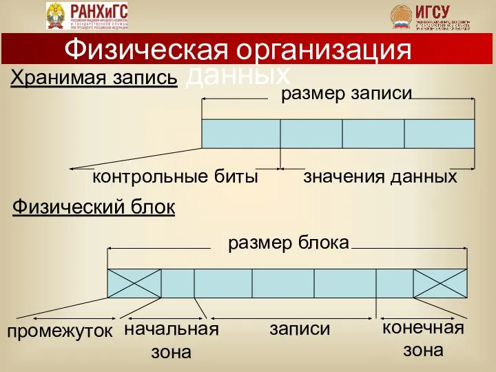 Хранимая запись Физический блок Физическая организация данных