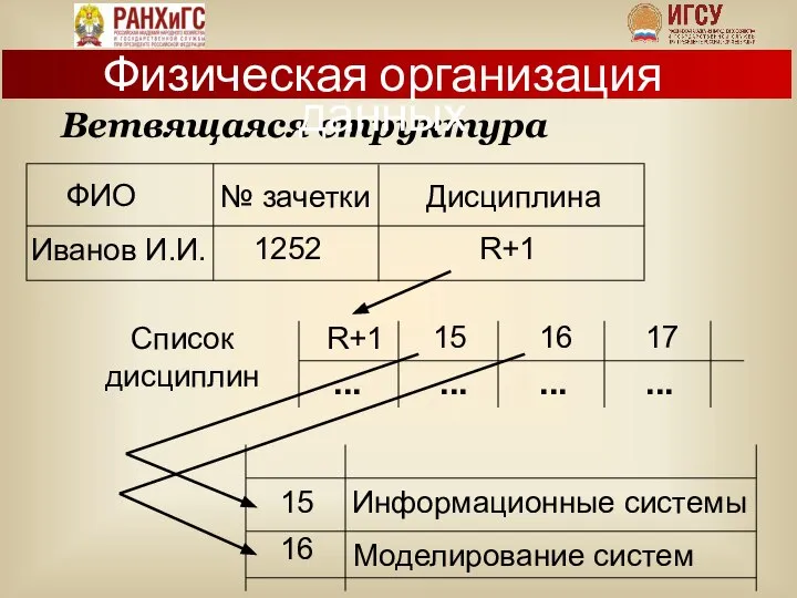 Ветвящаяся структура Физическая организация данных