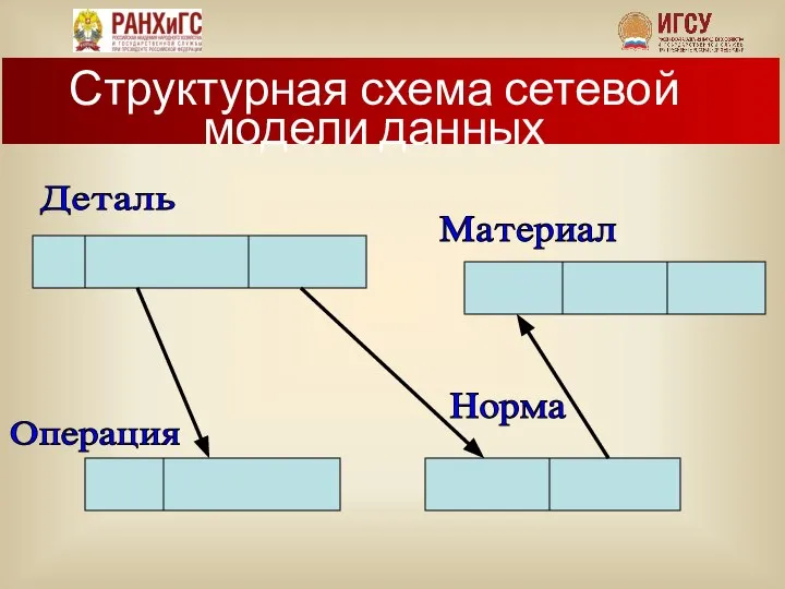 Структурная схема сетевой модели данных