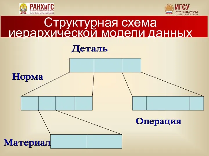 Структурная схема иерархической модели данных