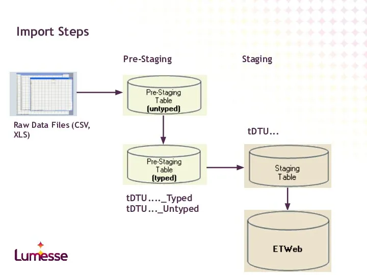 Import Steps Raw Data Files (CSV, XLS) tDTU...._Typed tDTU..._Untyped tDTU... Pre-Staging Staging