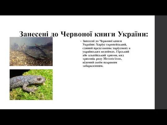 Занесені до Червоної книги України: Занесені до Червоної книги України: Харіус