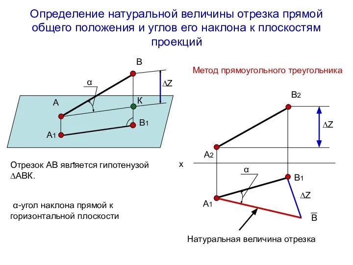 Определение натуральной величины отрезка прямой общего положения и углов его наклона