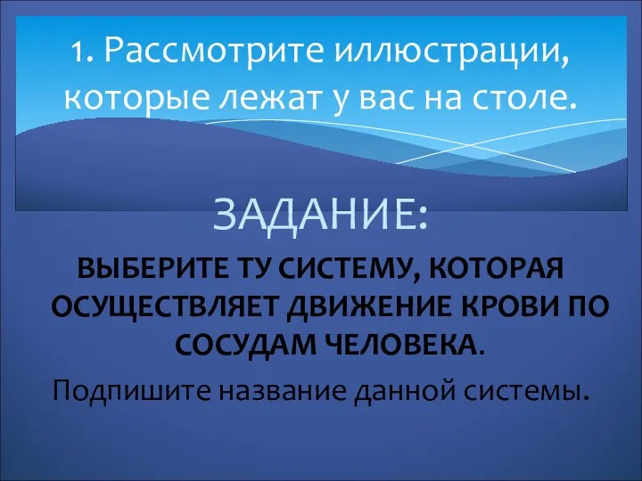 ЗАДАНИЕ: ВЫБЕРИТЕ ТУ СИСТЕМУ, КОТОРАЯ ОСУЩЕСТВЛЯЕТ ДВИЖЕНИЕ КРОВИ ПО СОСУДАМ ЧЕЛОВЕКА.