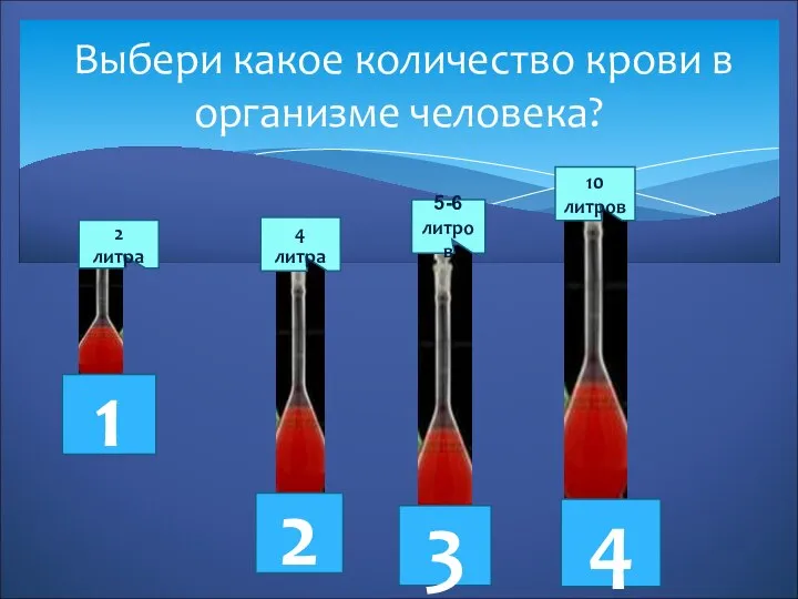 Выбери какое количество крови в организме человека? 2 литра 4 литра