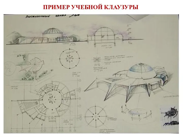 ПРИМЕР УЧЕБНОЙ КЛАУЗУРЫ