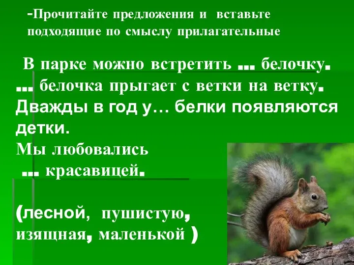 -Прочитайте предложения и вставьте подходящие по смыслу прилагательные В парке можно