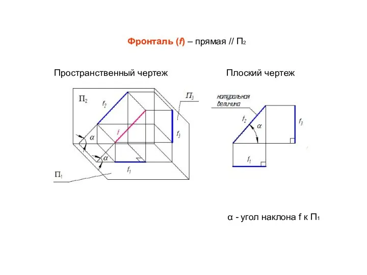 Фронталь (f) – прямая // П2 Пространственный чертеж Плоский чертеж α